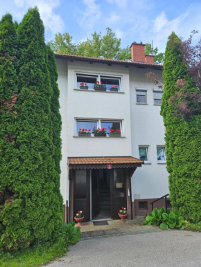 Apartma Cipresa